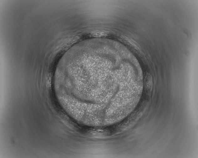 X0000112950315200909211200