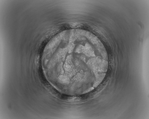 X0000112950319200909211200