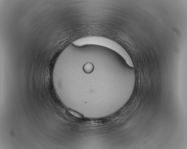 X0000112950320200909211200