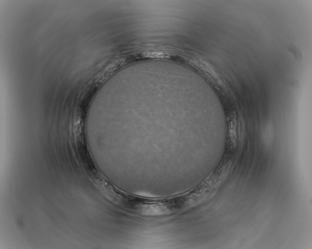 X0000112950322200909211159