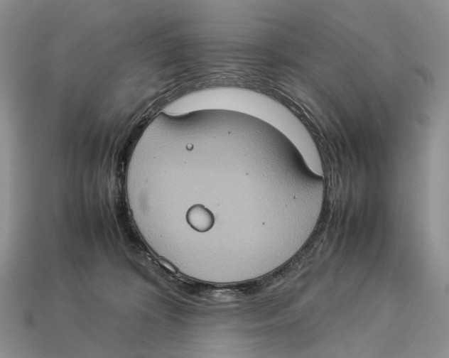 X0000112950324200909211159
