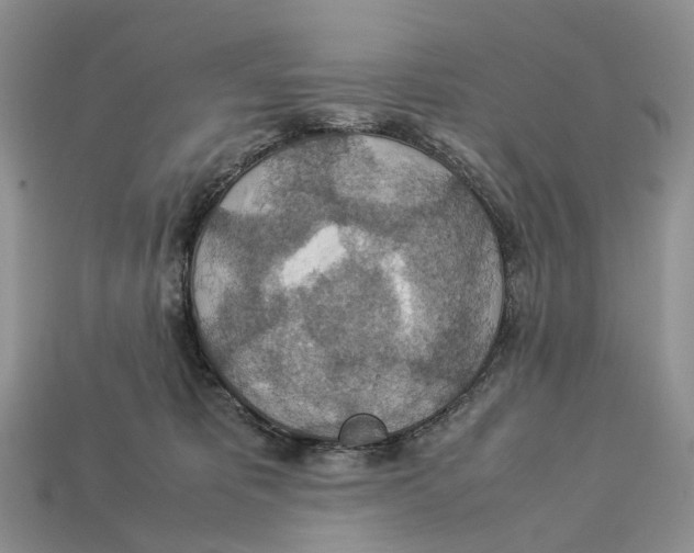 X0000112950325200909211159