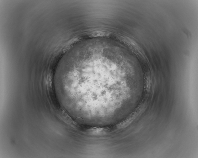 X0000112950326200909211159