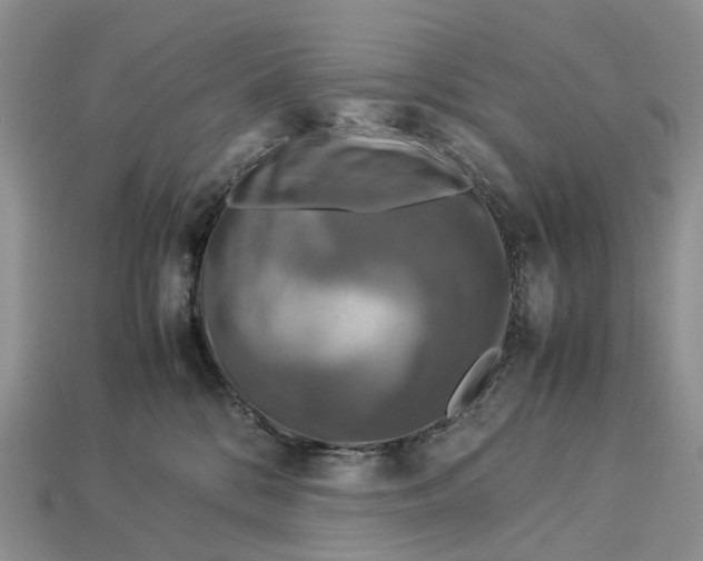 X0000112950328200909211159
