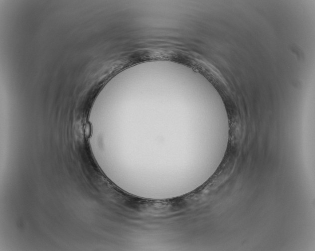 X0000112950329200909211159