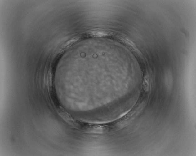X0000112950330200909211159