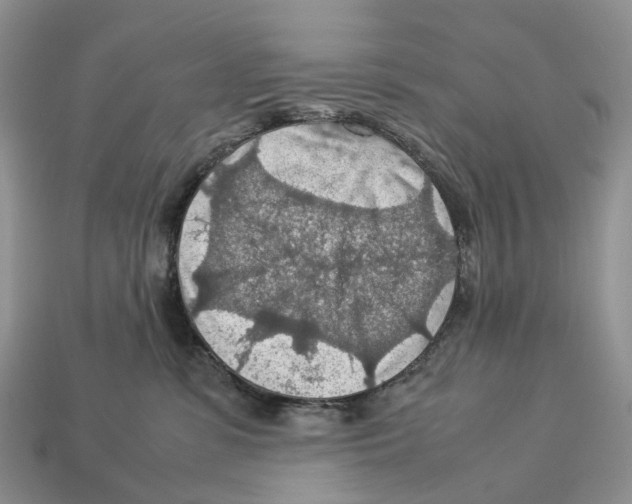 X0000112950331200909211159