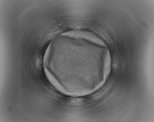 X0000112950332200909211159