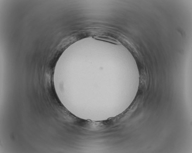 X0000112950333200909211159