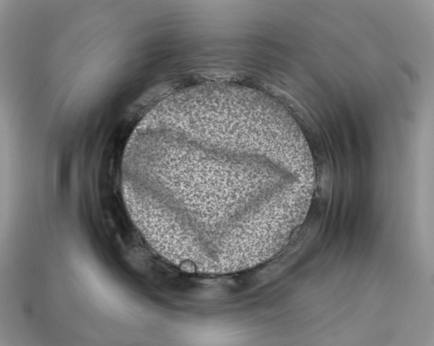 X0000112950334200909211159