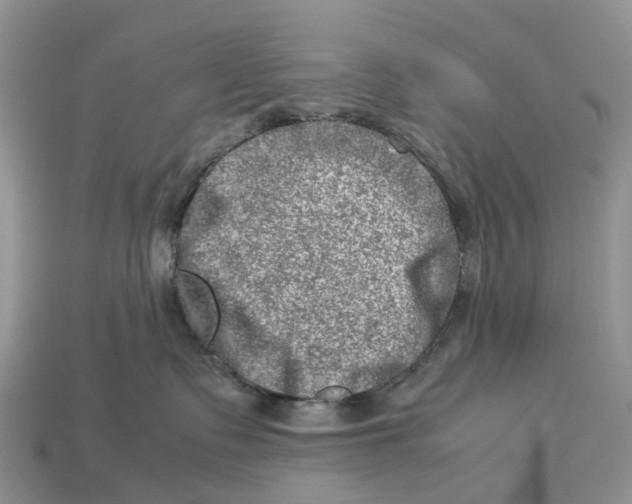 X0000112950335200909211159