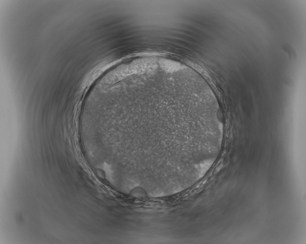 X0000112950337200909211159