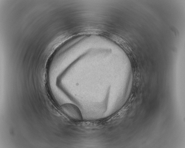 X0000112950338200909211159