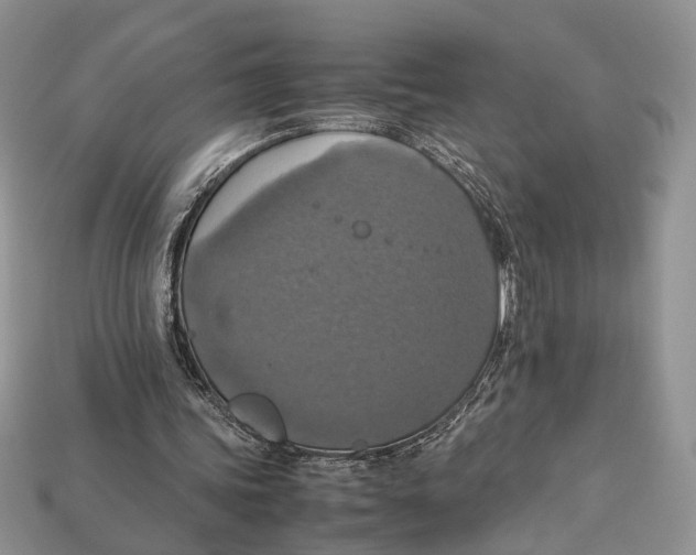 X0000112950339200909211159
