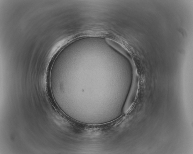 X0000112950340200909211159