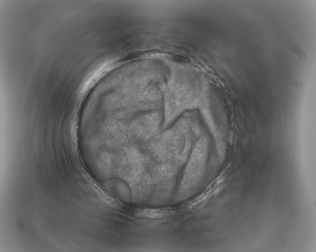 X0000112950341200909211159