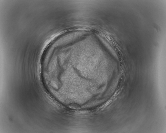 X0000112950342200909211159
