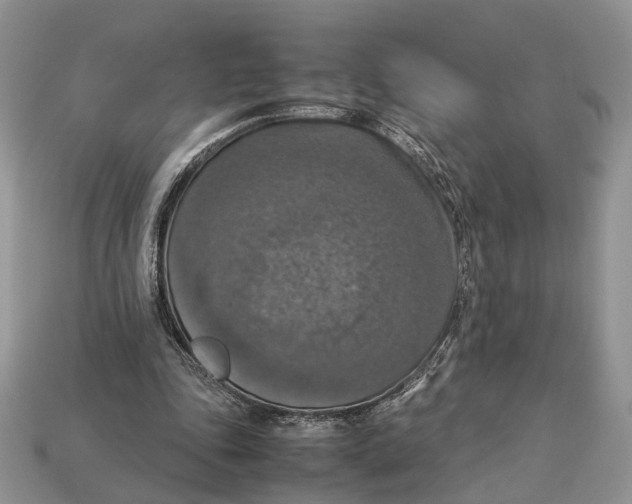 X0000112950343200909211159