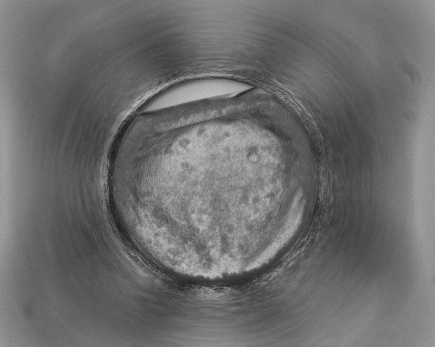 X0000112950346200909211159