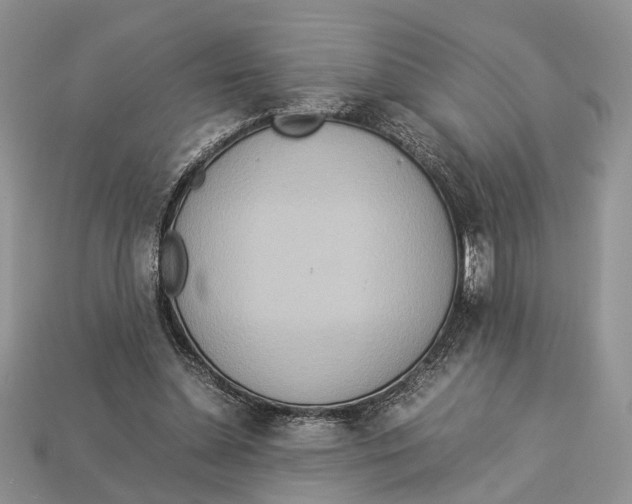 X0000112950348200909211159