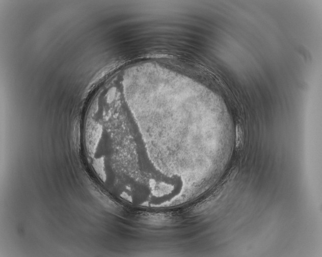 X0000112950349200909211159