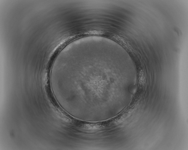 X0000112950351200909211159