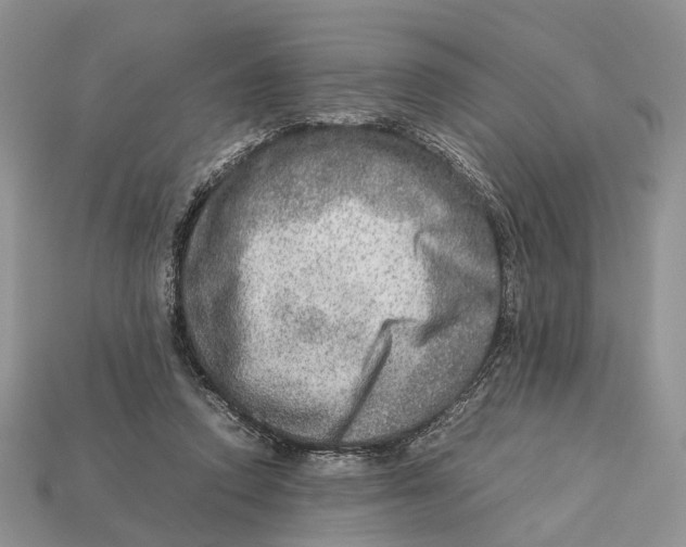 X0000112950354200909211159
