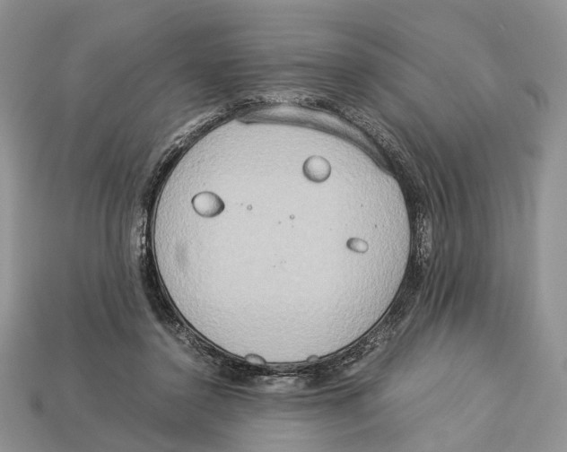 X0000112950356200909211159