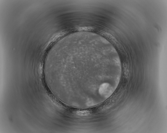 X0000112950357200909211159