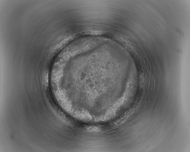 X0000112950358200909211159