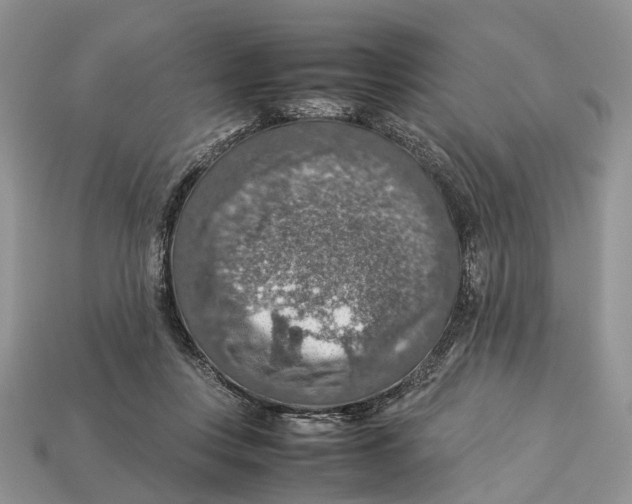 X0000112950359200909211159