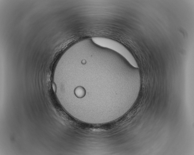 X0000112950360200909211159