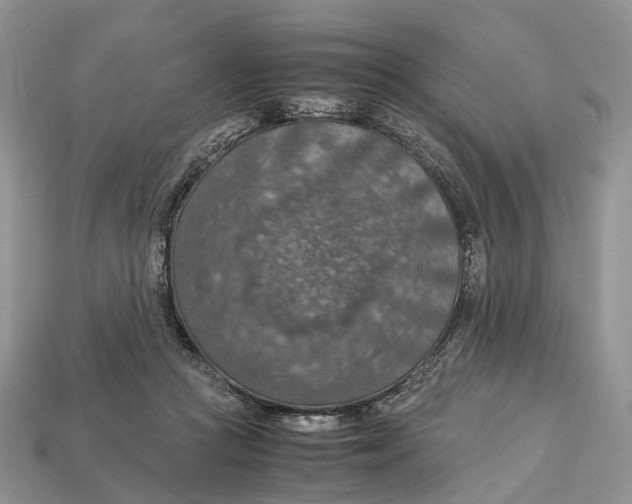 X0000112950361200909211159