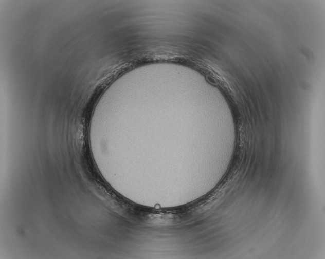 X0000112950362200909211159