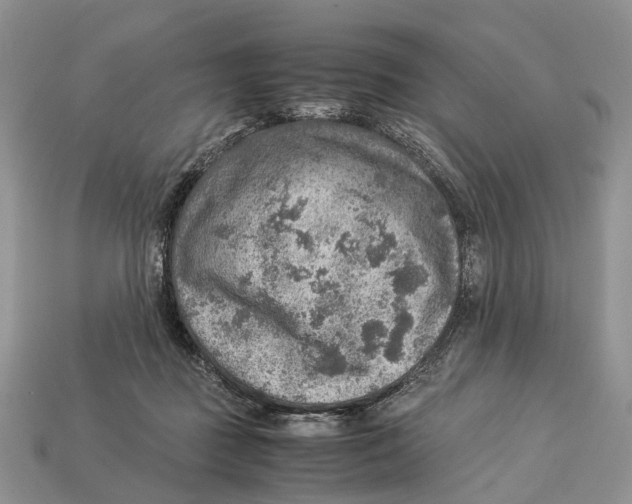 X0000112950363200909211159