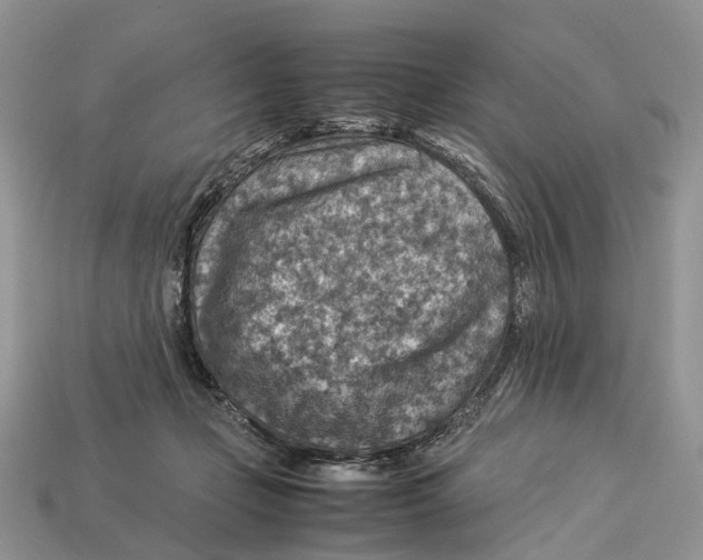 X0000112950365200909211159