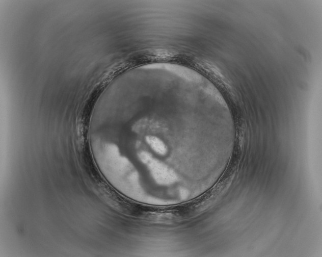 X0000112950366200909211159
