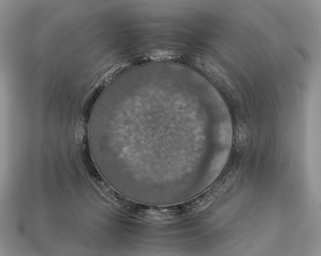 X0000112950367200909211159