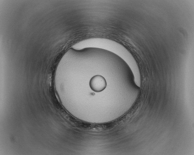 X0000112950368200909211159
