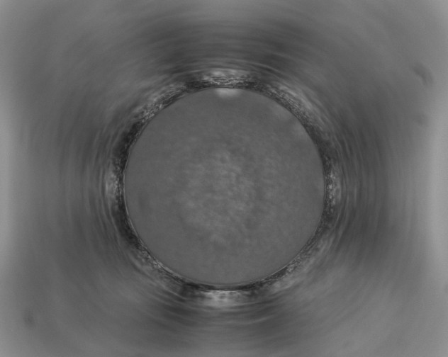 X0000112950371200909211159