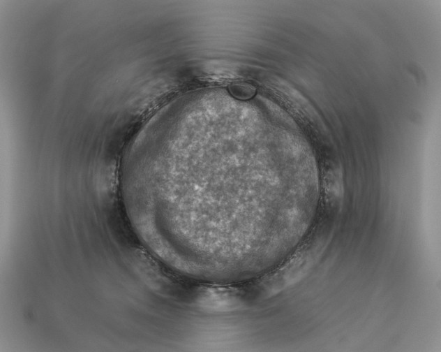 X0000112950372200909211159