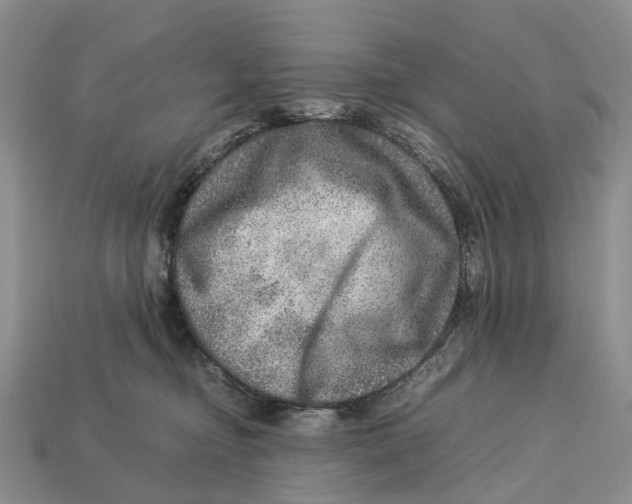 X0000112950374200909211159