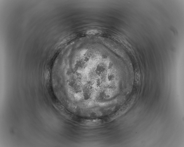 X0000112950375200909211159