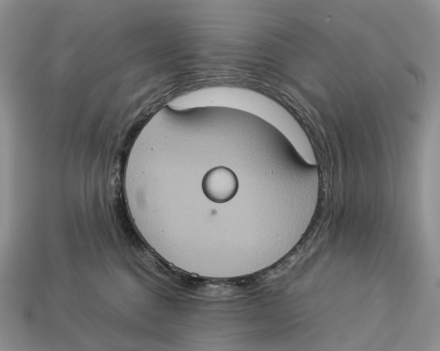 X0000112950376200909211159