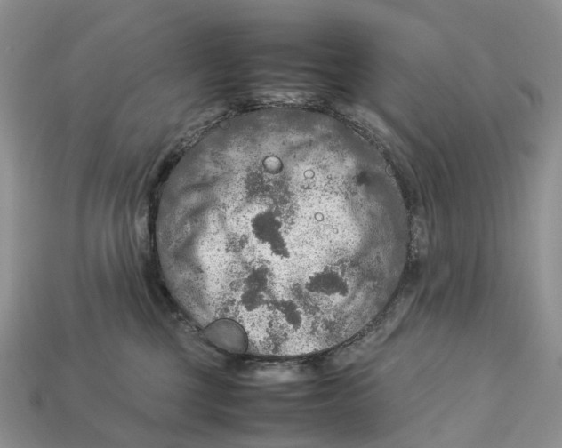 X0000112950377200909211159