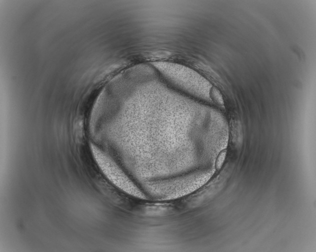 X0000112950378200909211159