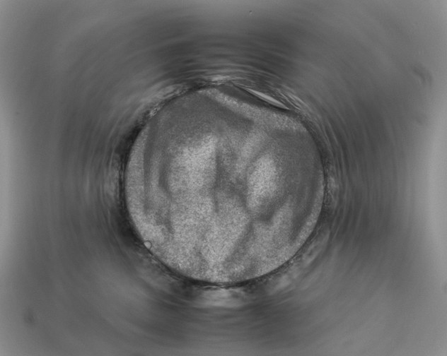 X0000112950379200909211159