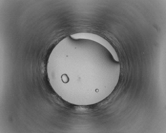 X0000112950380200909211159
