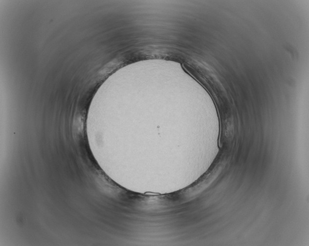 X0000112950382200909211159