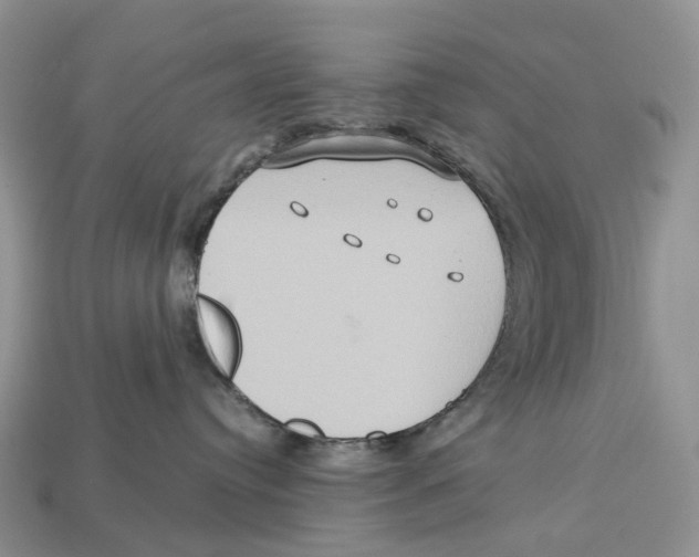 X0000112950384200909211159